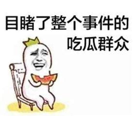娱乐吃瓜文案搞笑头像,搞笑头像背后的娱乐盛宴