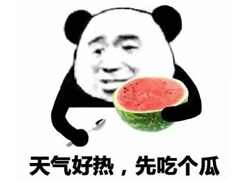 娱乐八卦吃瓜素材热,揭秘明星们的幕后故事与热点事件